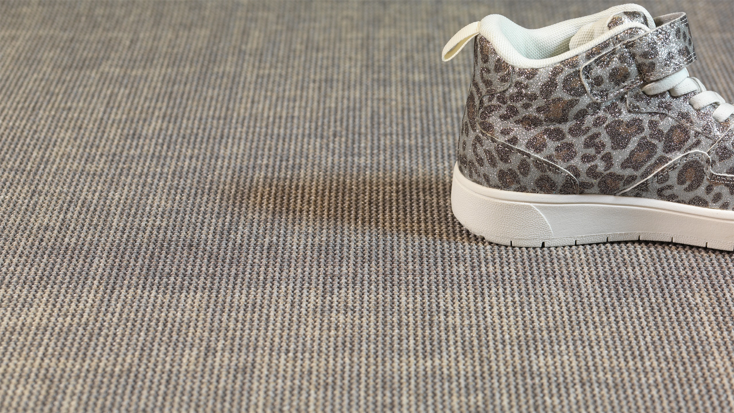 Leopard print shoe on carpet